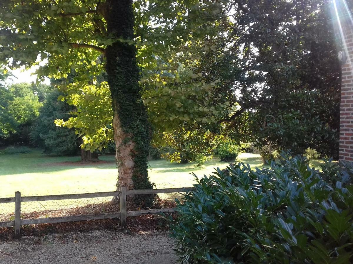 Au Cocon De Sologne Hotel Soings-en-Sologne Luaran gambar